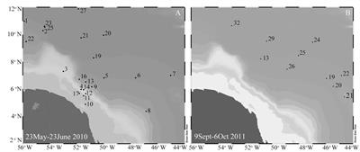 Piecewise Structural Equation Model (SEM) Disentangles the Environmental Conditions Favoring Diatom Diazotroph Associations (DDAs) in the Western Tropical North Atlantic (WTNA)